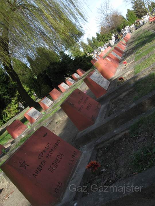 The Soviet military cemetery.jpg - The Soviet military cemetery